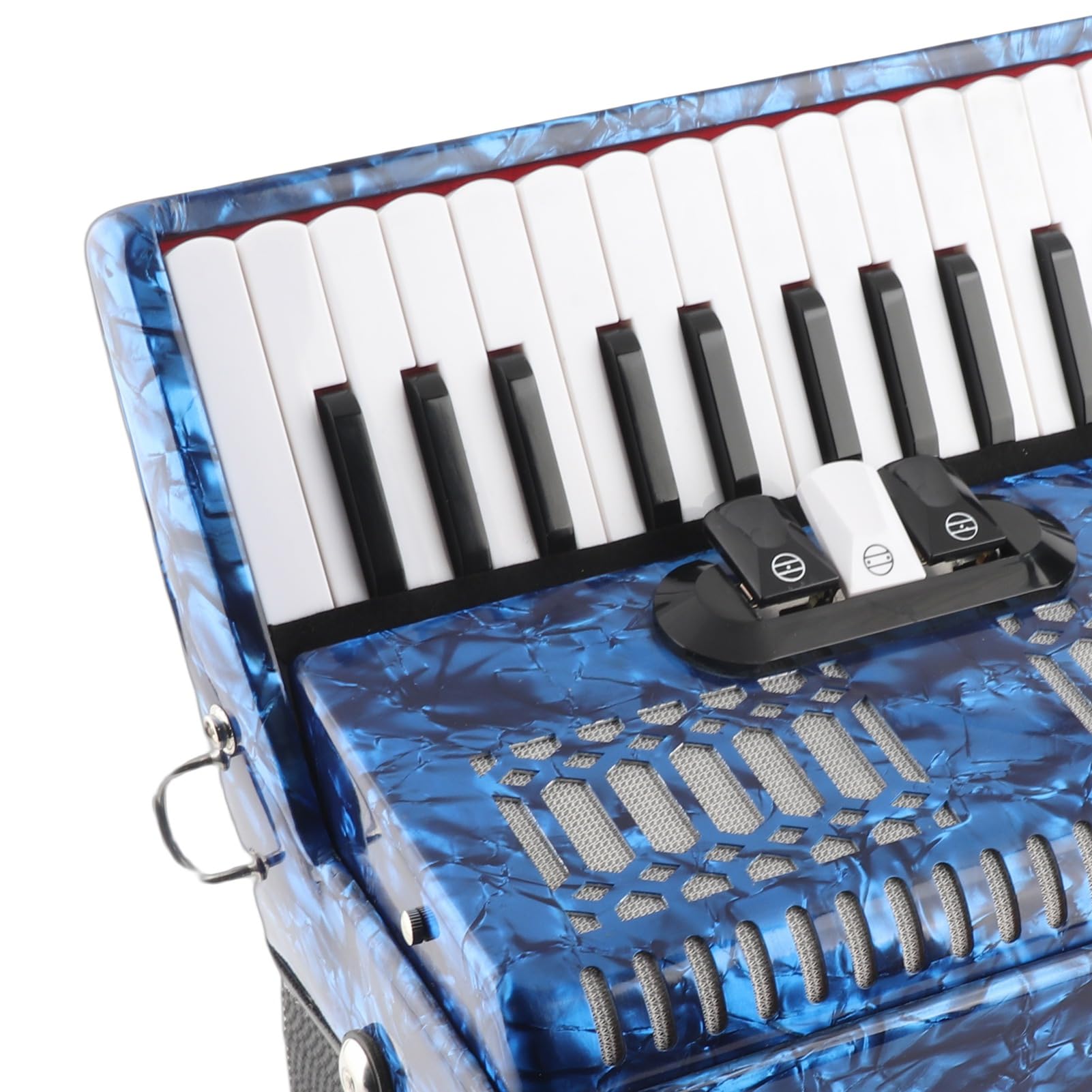 Fisarmonica in Celluloide in Materiale ABS 26 Tasti 48 Bassi Fisarmonica per Principianti per Pianoforte per gli Amanti degli Strumenti Musicali