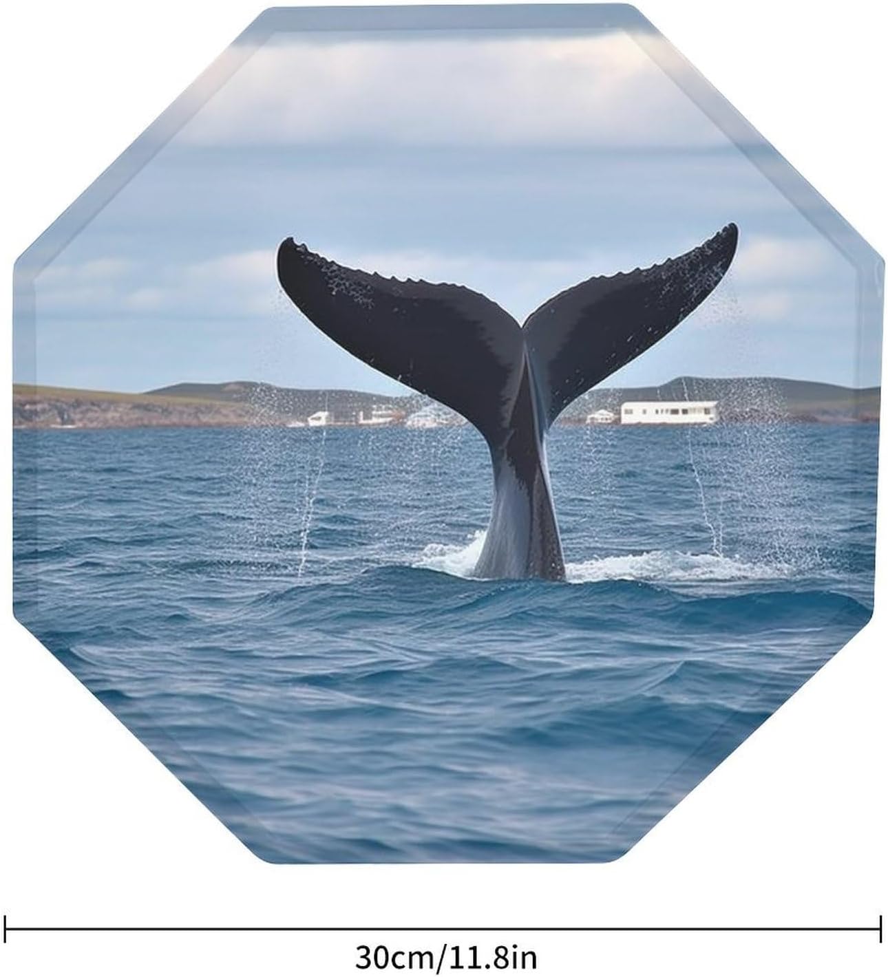 Ctagon Metal Sign for Home, Modern Display Plate for Kitchen, Whale Tail Plates Accent Hanging Wall Decorations 3PCS for Living Room, Bedroom, Hallway, Hotel