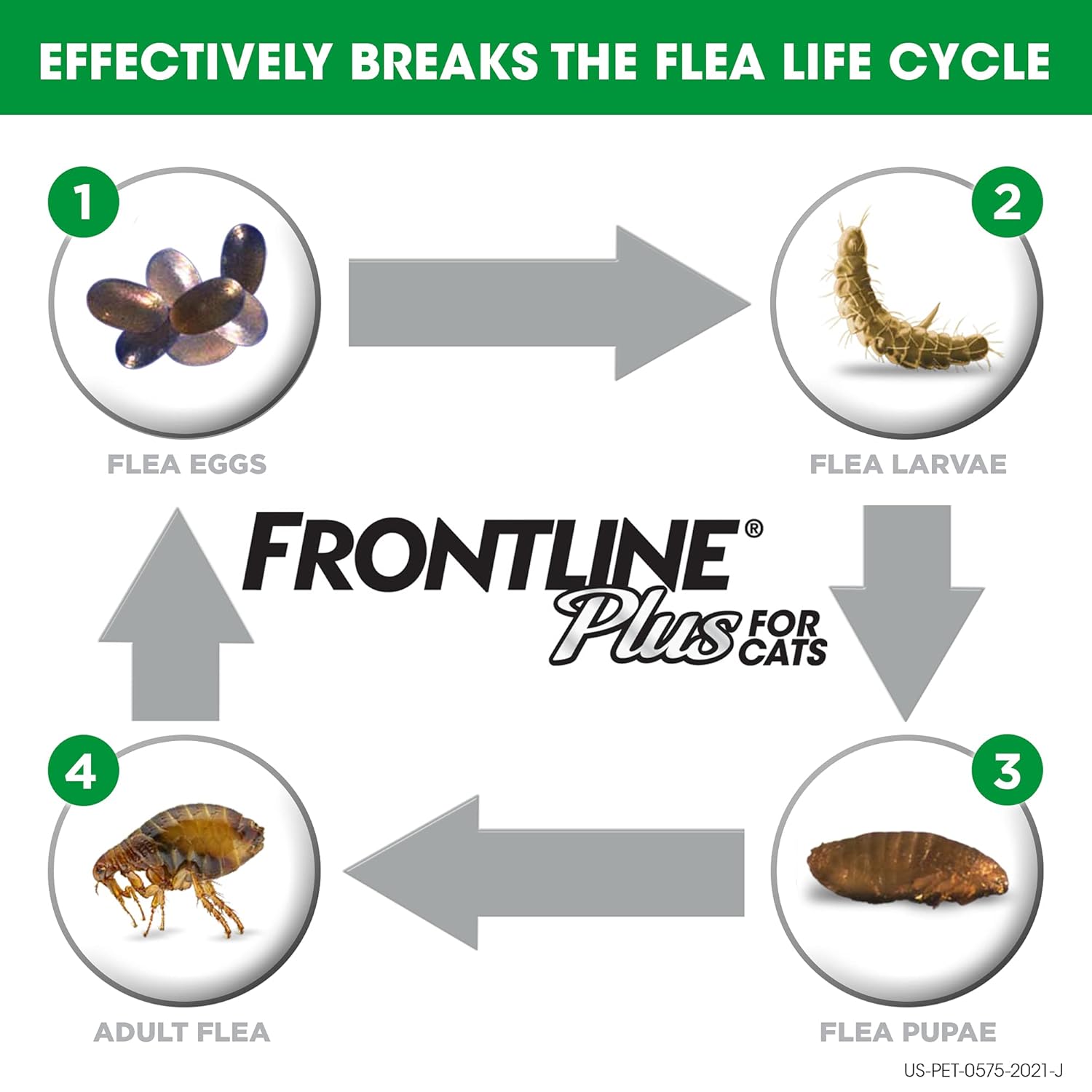 frontline for cats cheapest