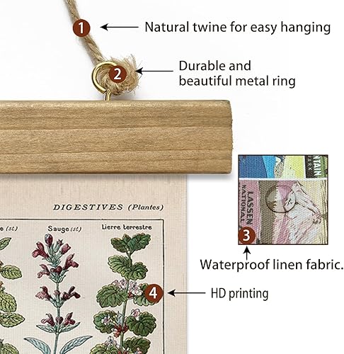 Miniatura 278 de XIAOAIKA Póster de botánica vintage con marco de madera, tabla de plantas venenosas antiguas, arte educativo botánico con especies peligrosas, 1