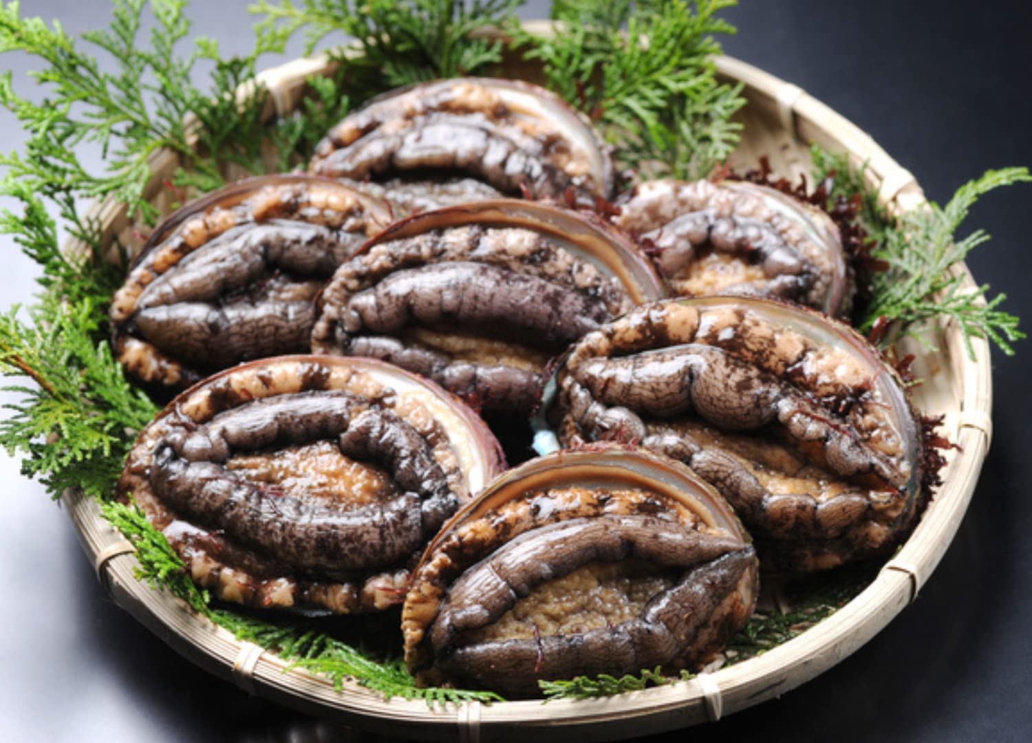 Amazon.co.jp: お刺身 蝦夷あわび アワビ 500g(約15個入)あわび 海鮮 BBQ : 食品・飲料・お酒