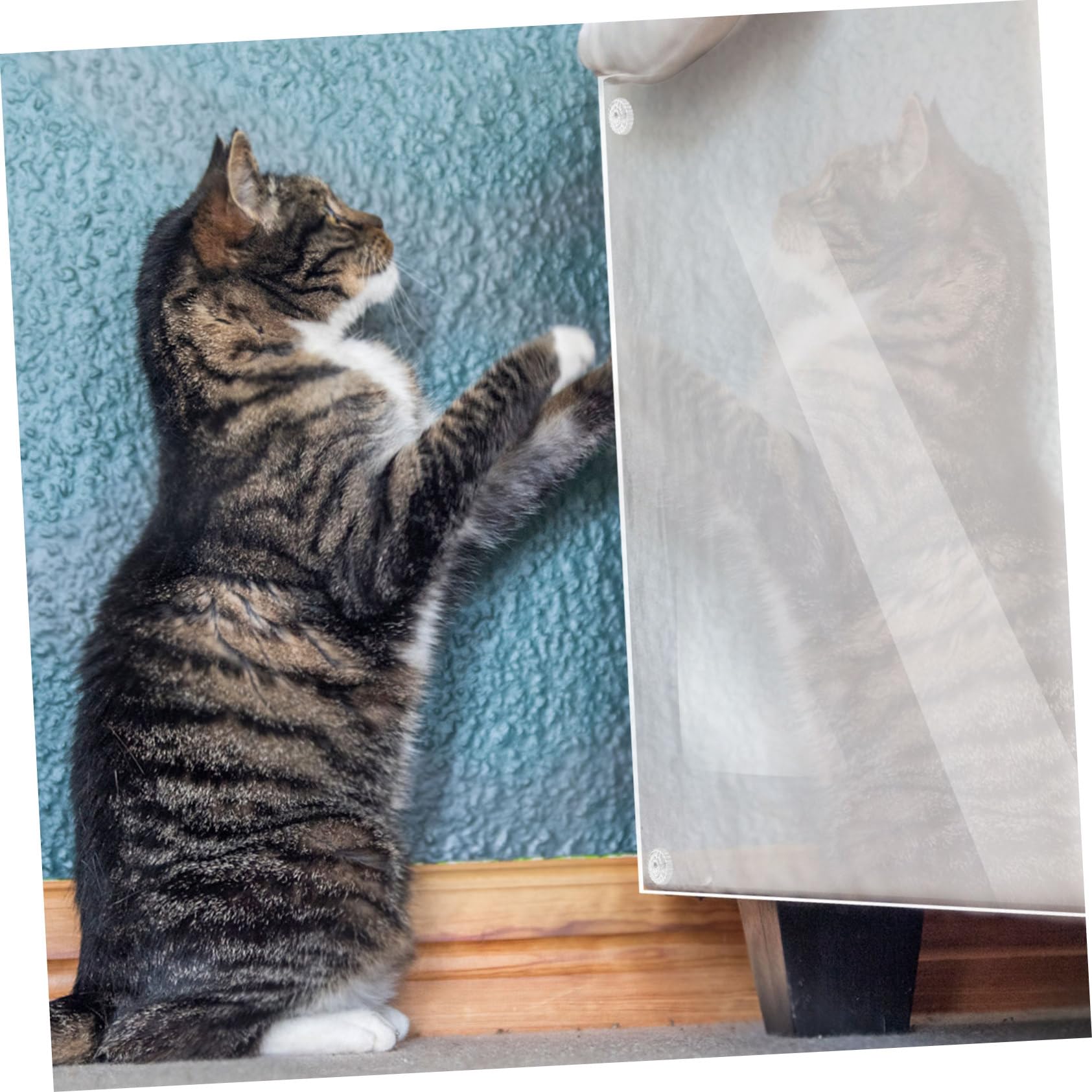 15piezas Pegatina Antiarañazos Transparente para Sofá Protector De Muebles para Gatos Protectores con Alfileres Disuasorio De Arañazos para Muebles De Sala De Estar