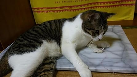 お客様イメージ