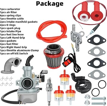PZ22 Carburetor 22mm Carb Fits for 125cc 110cc CRF110 XR50 CRF50 CRF50f TaoTao SSR110 SSR125 DB14 DB24 Coolster Apollo Pit Dirt Bike 4 Stroke Engine Chinese 4 Wheeler ATV Parts(Red)