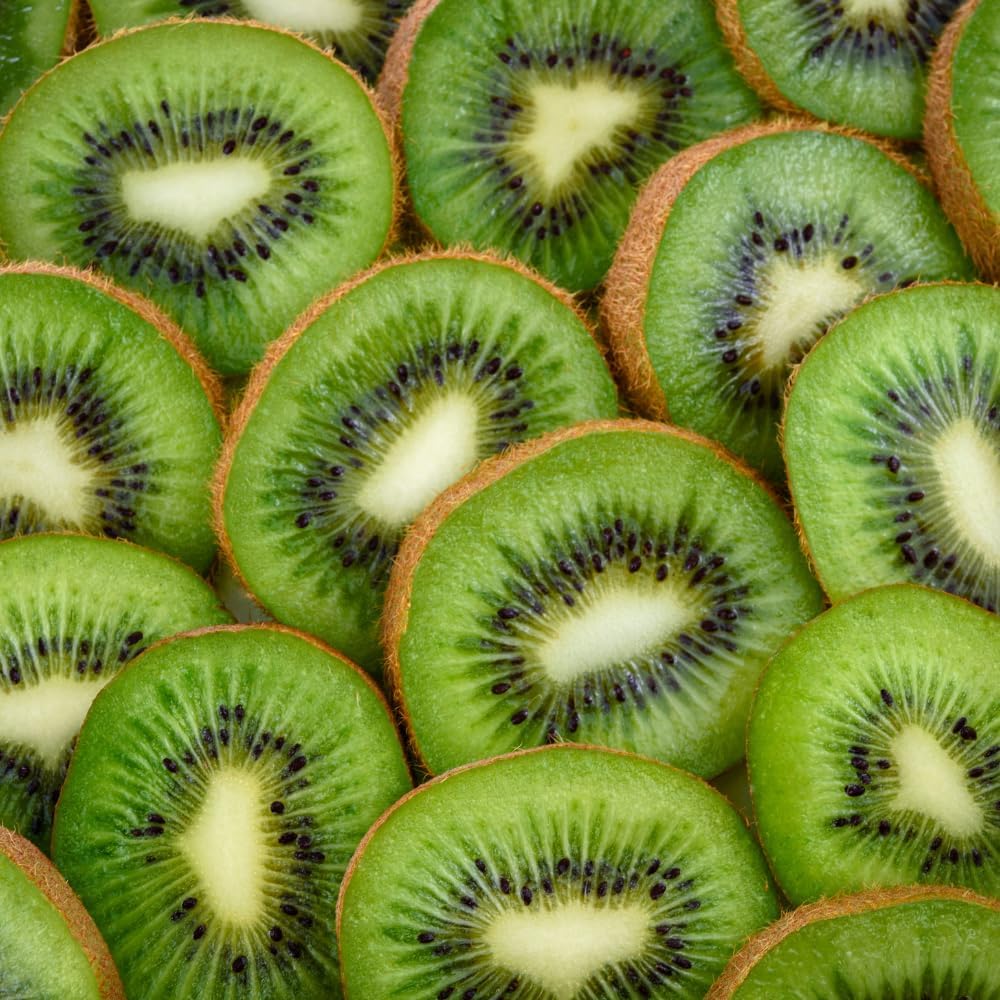 Hardy Male Kiwi Plants Live for Planting, Size Starter from 5 to 10 Inches Tall, Berry Vine, Cold Hardy Edible Fruit Vines for Home Garden