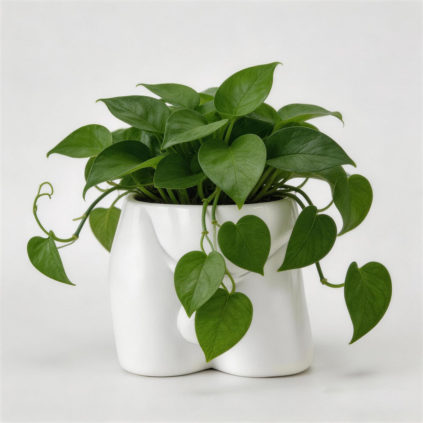 Lourich Men's White Body Vases For Decor - Planter Pot, Body Plant Pots - Vase Funny Planter Gift For Succulents And Cacti (, Large)