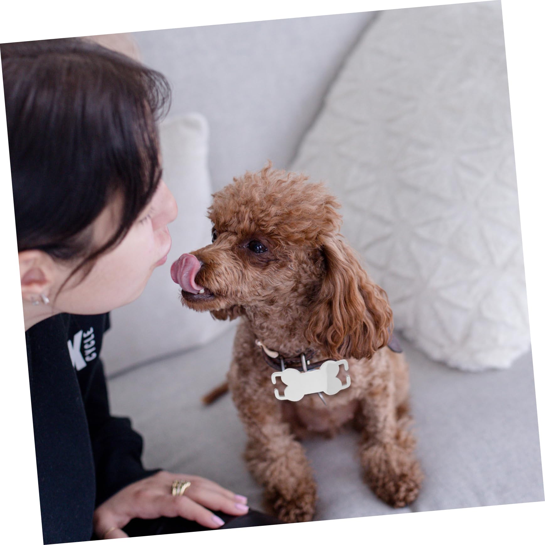 INOOMP 30pièces Plaques Identification Acier pour Chiens Et Médailles Personnalisées Légères à Graver avec Nom Téléphone Et Adresse Accessoires Animaux