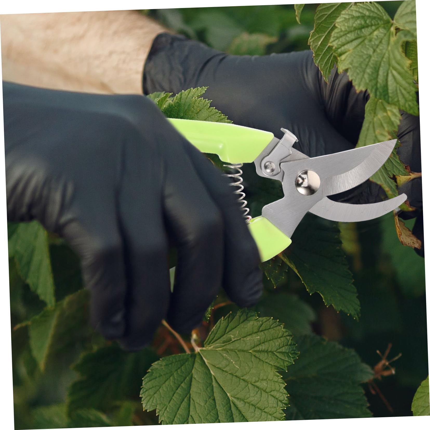 ibasenice 3 Sätze Garten Schneidescheren Leichte Pflanzenschneider Für Gartenarbeit Ergonomische Blumenschneider Mit Rutschfesten Griffen Für Und Pflege Von Pflanzen 2 Stück * 3