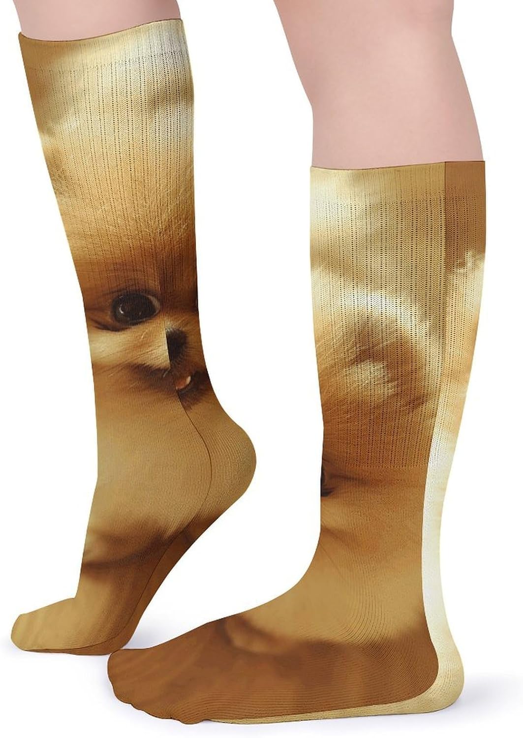 5 Pairs Knee High Socks Pomeranian Dog Long Tube Boot Seamless Toe
