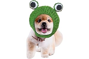 Frog Costume Hat for Dog - Crocheted Cap with Big Eye Detail