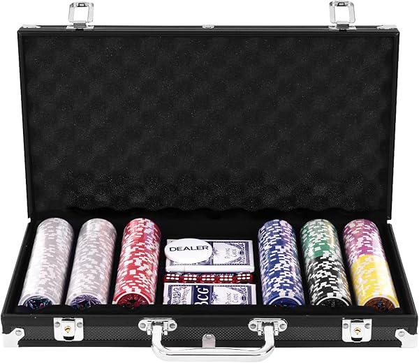 Goplus ポーカーチップ 300枚セット