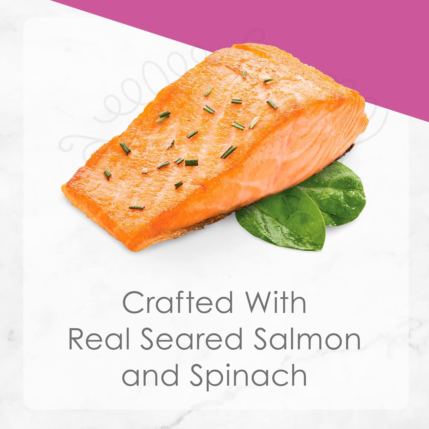 Fancy Feast Gourmet Grain-Free Meals Wet Cat Food Pate and Gravy Petites 10 Twin Pack Trays, 20 Servings (Seared Salmon in Gravy)