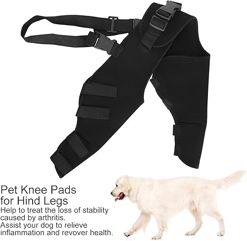 Miniatura 4 de Zerodis Canine Hind Hock Wraps, soportes para perro, protectores de patas de perro para perro (HJ25 leggings dobles traseros negros, M, 12)
