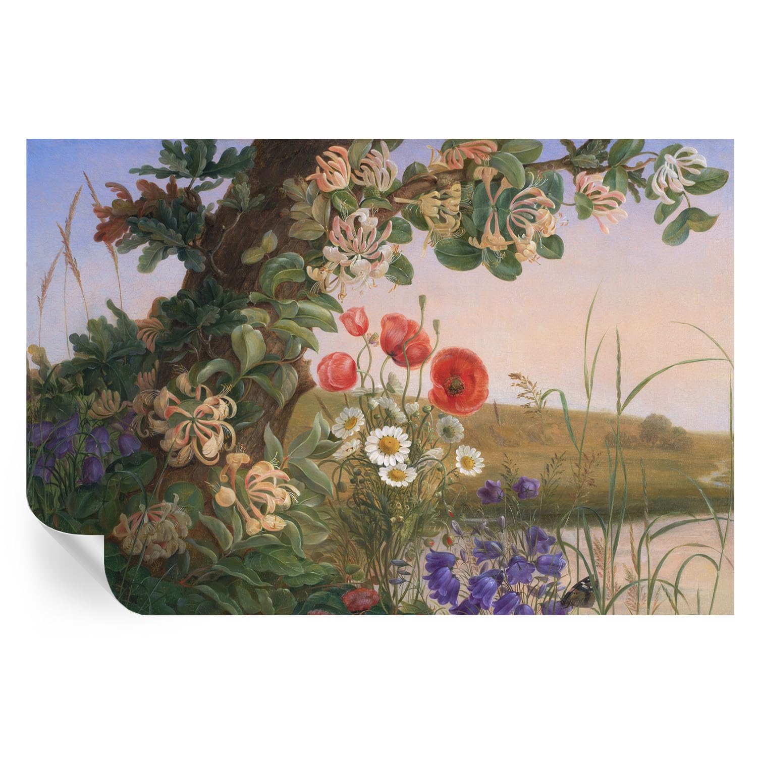 Papel autoadhesivo para pasillo que disimula roces con diseño floral