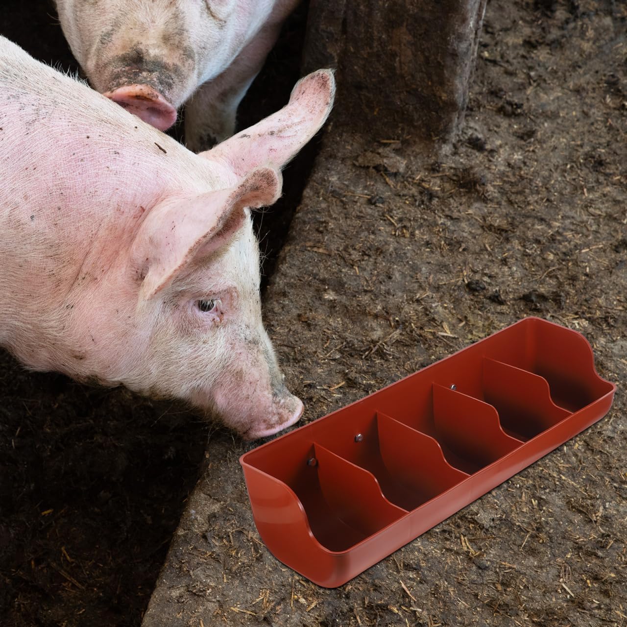 POPETPOP Thickened Piglet Feeding Trough 5-Compartment Plastic Pig Feeder Livestock Feed Manger for Farm Use Easy to Clean and Install 17.7 Inch
