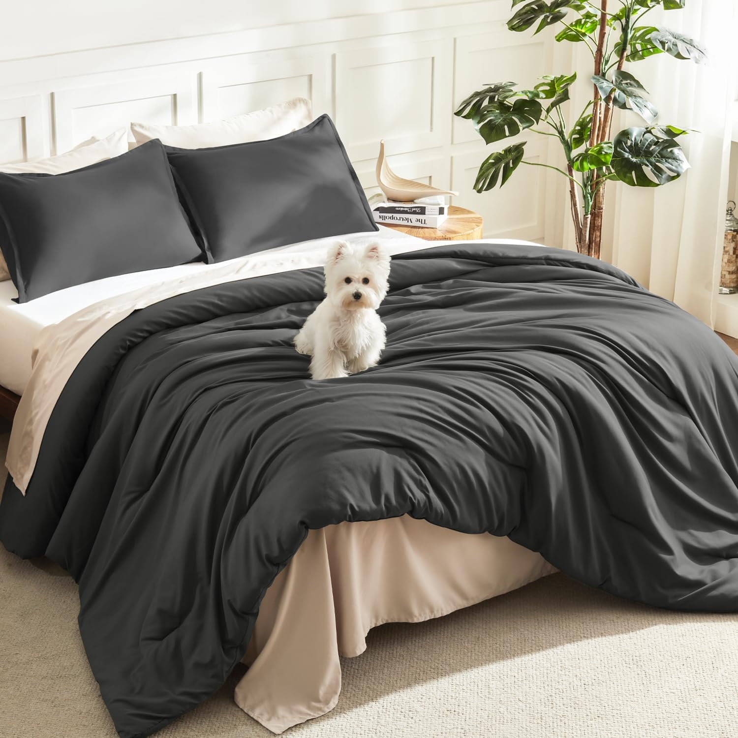 Litanika Grey Comforter Queen Size Set, Dark Gray Lightweight Plain Bedding Comforters Sets, All Season Fluffy Bed Set (90x90In Comforter & 2 Pillowcases)