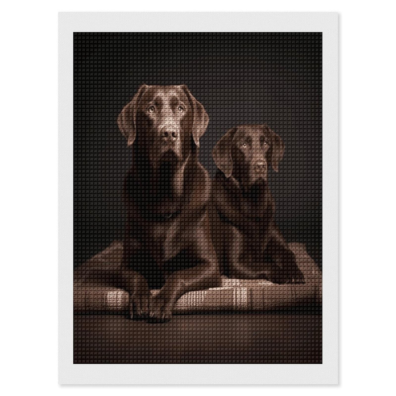 FodPand Brown Labrador Retriever Diamond Painting Kit for Beginner Fun 5D DIY Crafts for Adults Diamond Art Kits Square Diamond Art Canvas Painting Gem Art Crafts for Home Wall Decor 12"x16"