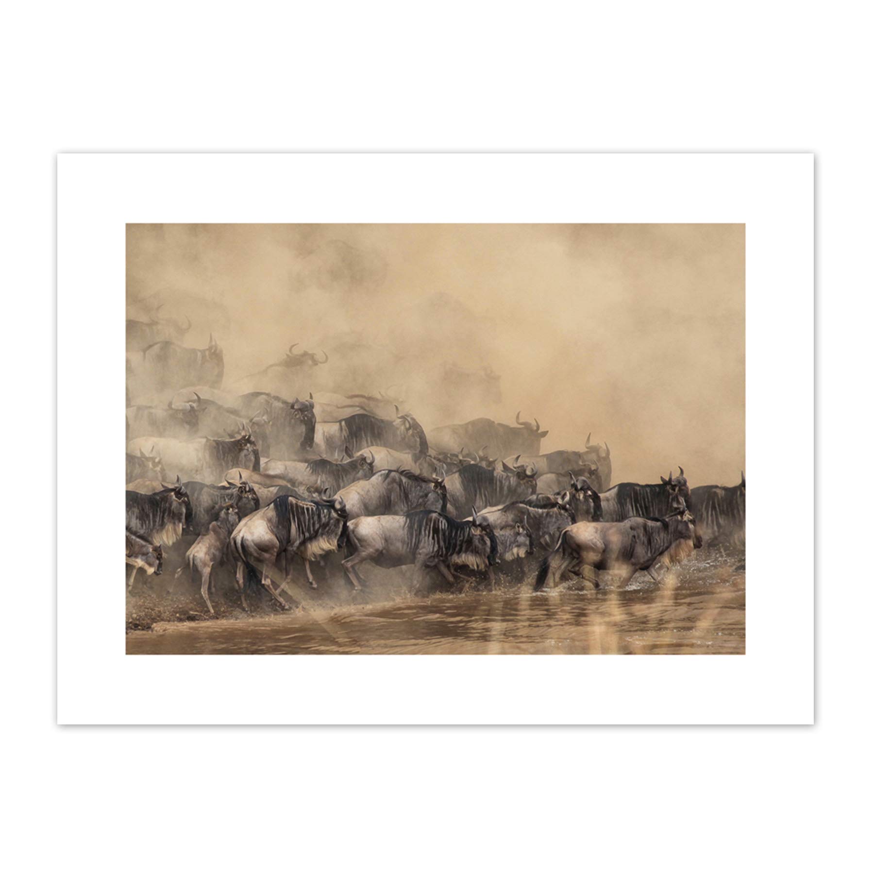 Wildebeest Antelope Herd Dust Canvas Wall Art Print