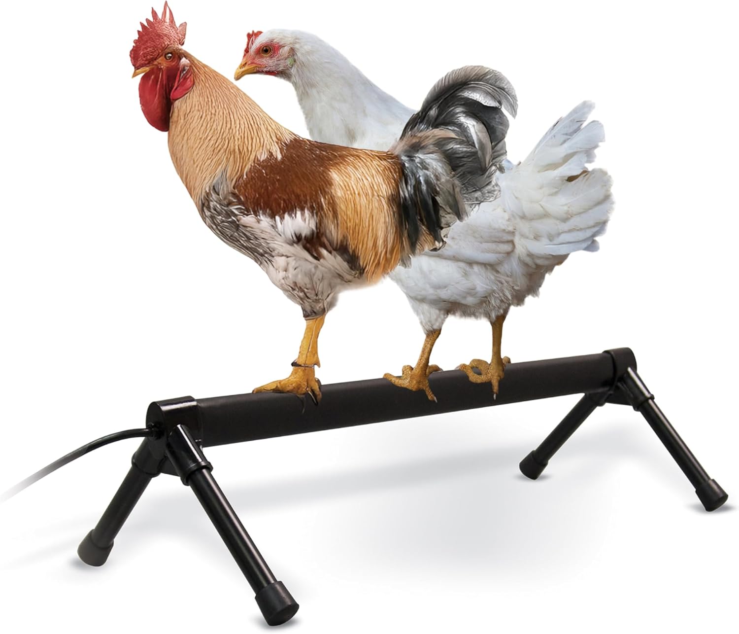 K&H Pet Products Thermo Heated Chicken Perch for Coop, Warming Chicken Heater, Prevents Frozen Toes, Warm Coop Accessories, Lamp Alternative, Safety Listed - Large 36” Black