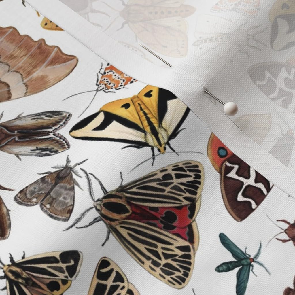 Spoonflower Fabric - Moths North America Moth Butterfly Bug Insect Science Entomology Printed on Petal Signature Cotton Fabric by The Yard - Sewing Quilting Apparel Crafts Decor