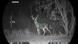 Review Image by Rene Riojas Rene Riojas