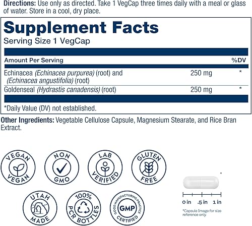 Miniatura 2 de SOLARAY Raíz de equinácea y raíz de sello de oro de 500 mg | Apoyo saludable del sistema inmunológico y respiratorio | Sin OMG, vegano y verificado