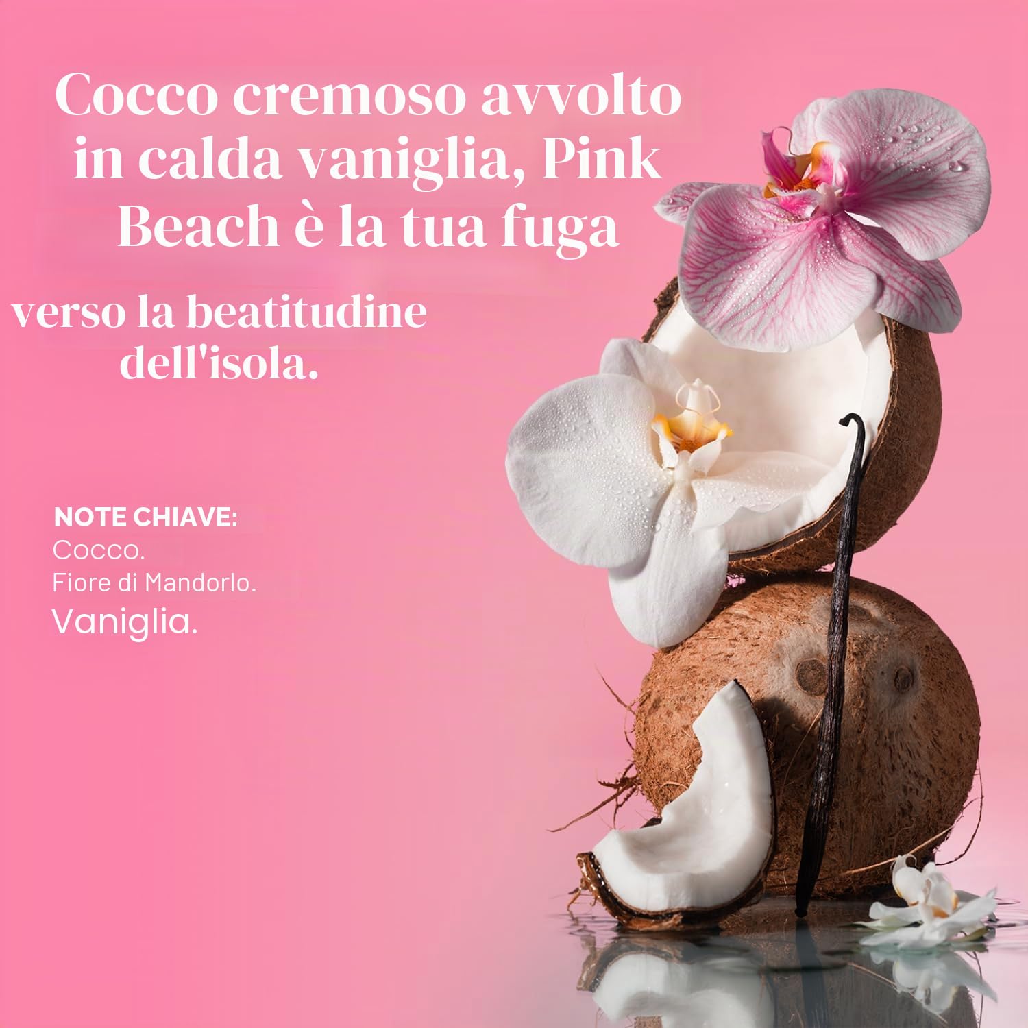 Saltair Signature Scents - Deodorante in siero con formula al 5% di Aha, deodorante con acido lattico e acido mandelico, controllo degli odori, senza alluminio, per donne e uomini, confezione da 2