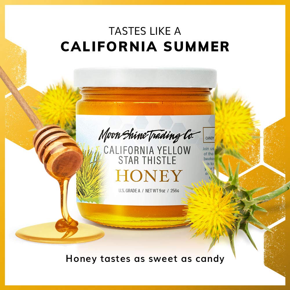 Moon Shine Trading Co. California Yellow Star Thistle Raw Honey | Award Winning Sweet Honey | 100% Pure, Unpasteurized, Natural & Unfiltered | Local Artisan Made