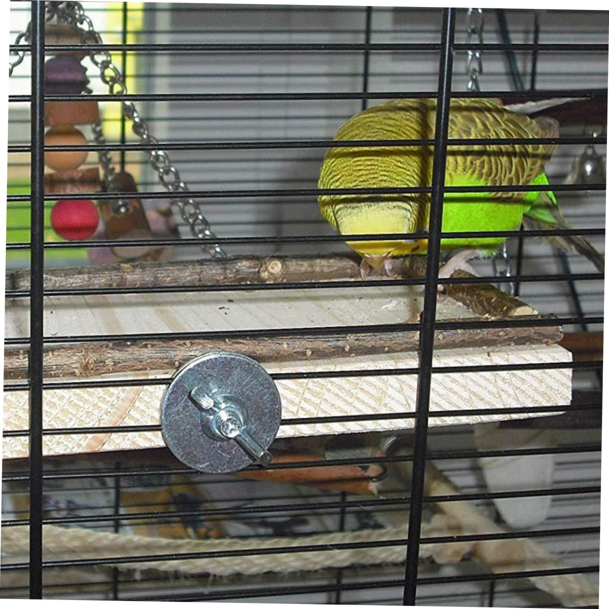 Toyvian 2pezzi Piattaforma Gioco Legno Per Pappagalli Giocattolo Per Uccelli Con Funzione Di Nutrimento Adatta Cockatiels e Pappagalli Facile Da Installare e Sicura Per Animali Domestici
