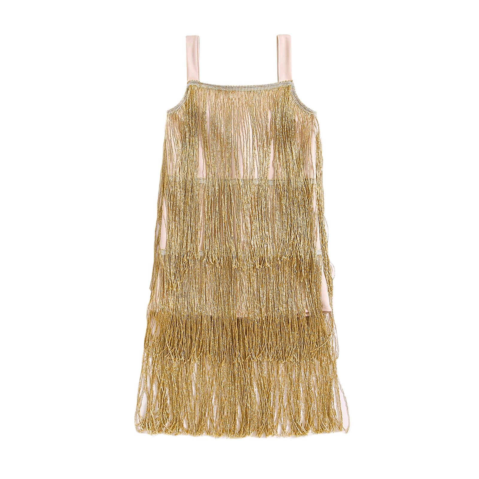 Xiaodriceee Toddler Girl Sequin Fringe Dress Sleeveless Sparkling Tassel Dresses Kids Little Girls Party Latin Dance Dress
