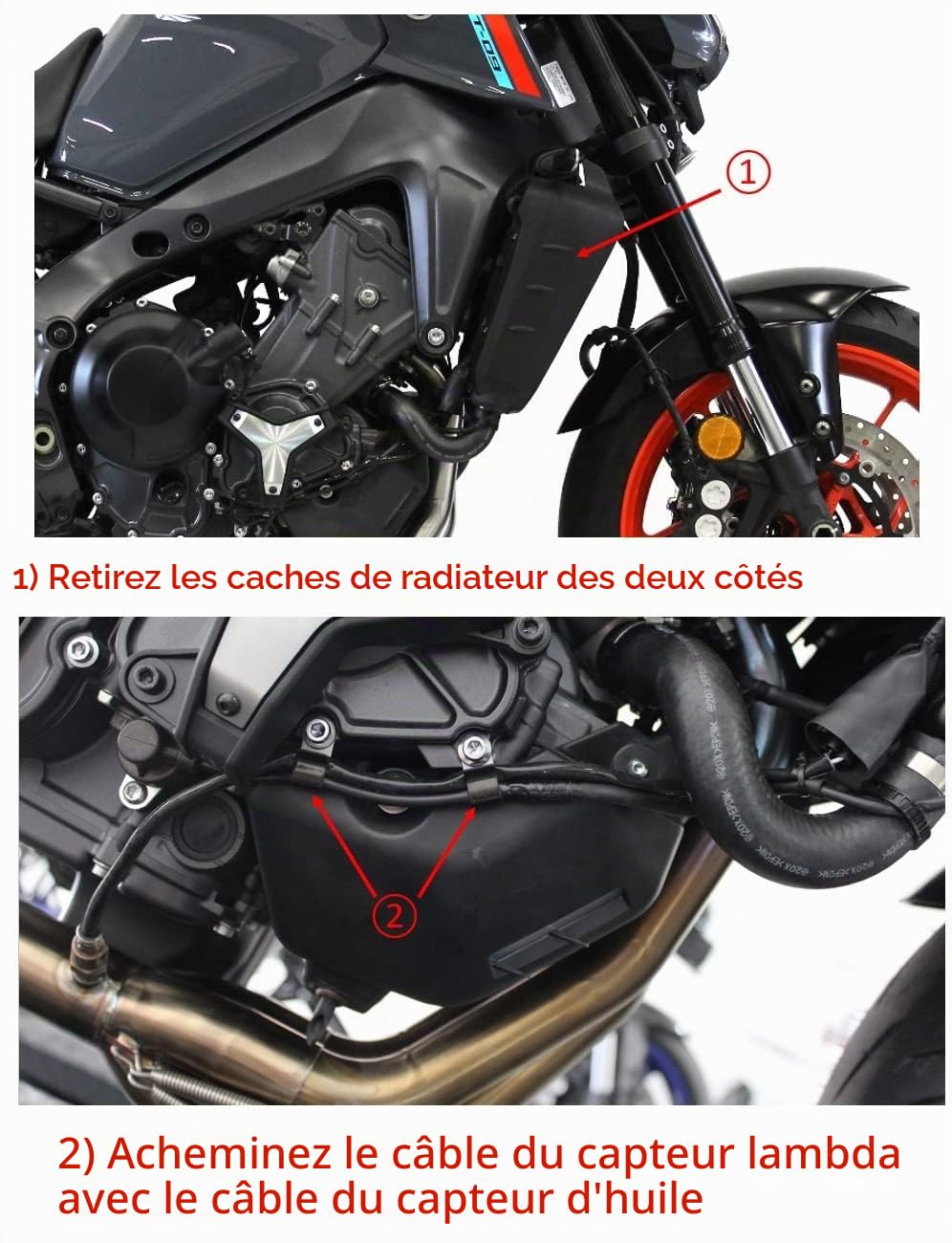 DOMINATOR Ligne complète d'échappement Collecteur Silencieux GP compatible avec MT 09 2021-2022