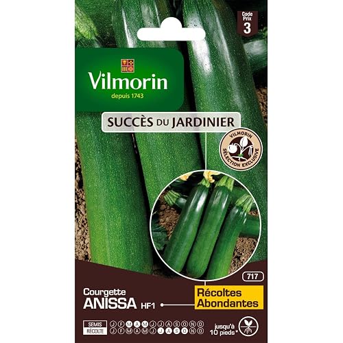 Vilmorin Courgette Anissa HF1 | Résistante oïdium, Précoce, Vigoureuse, Productive,