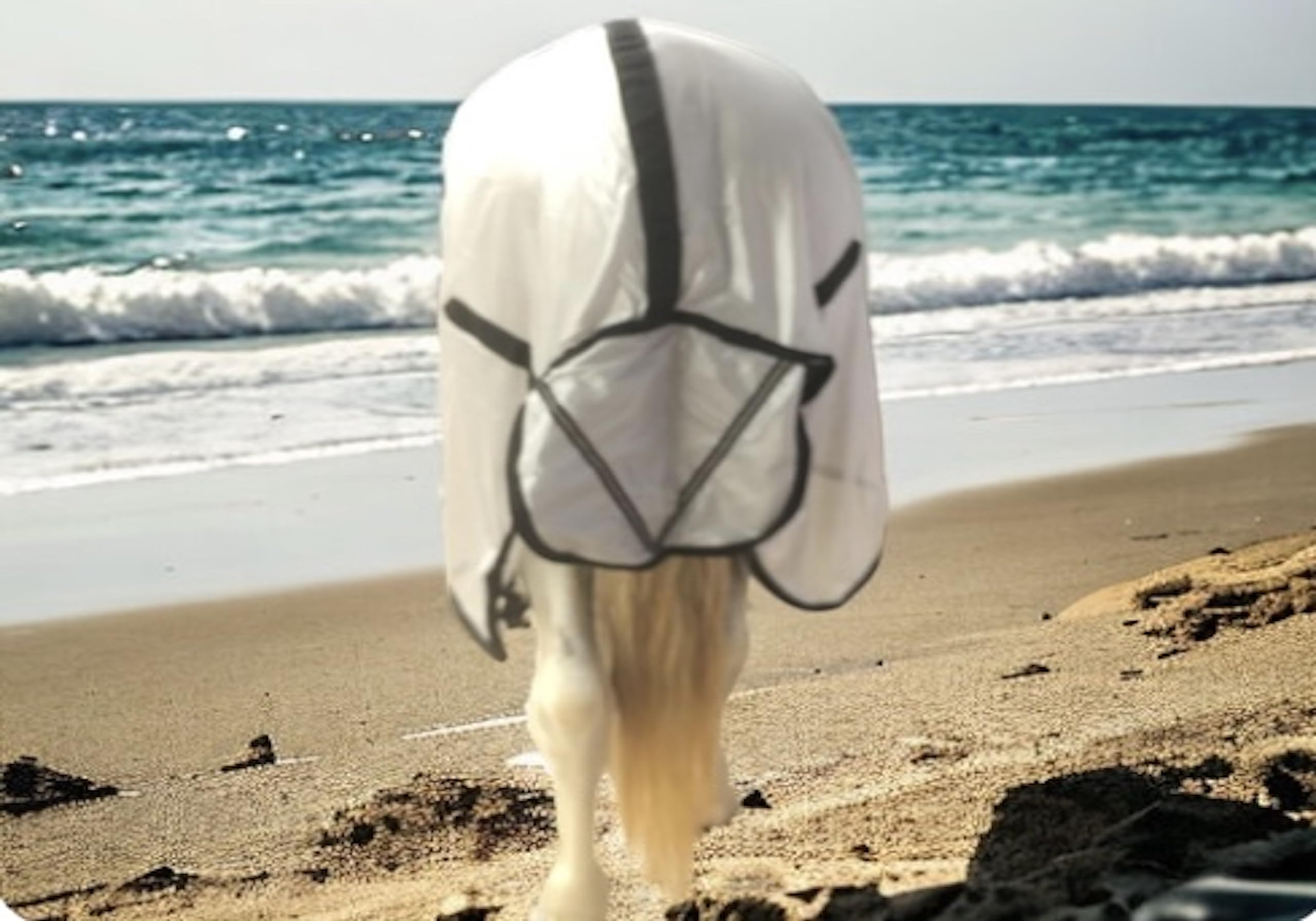 Majestic Ally Sábana para moscas de caballo con cubierta para el cuello y máscara para la cabeza, protección transpirable contra rayos UV y mordeduras, correas ajustables para el cuerpo, accesorio de