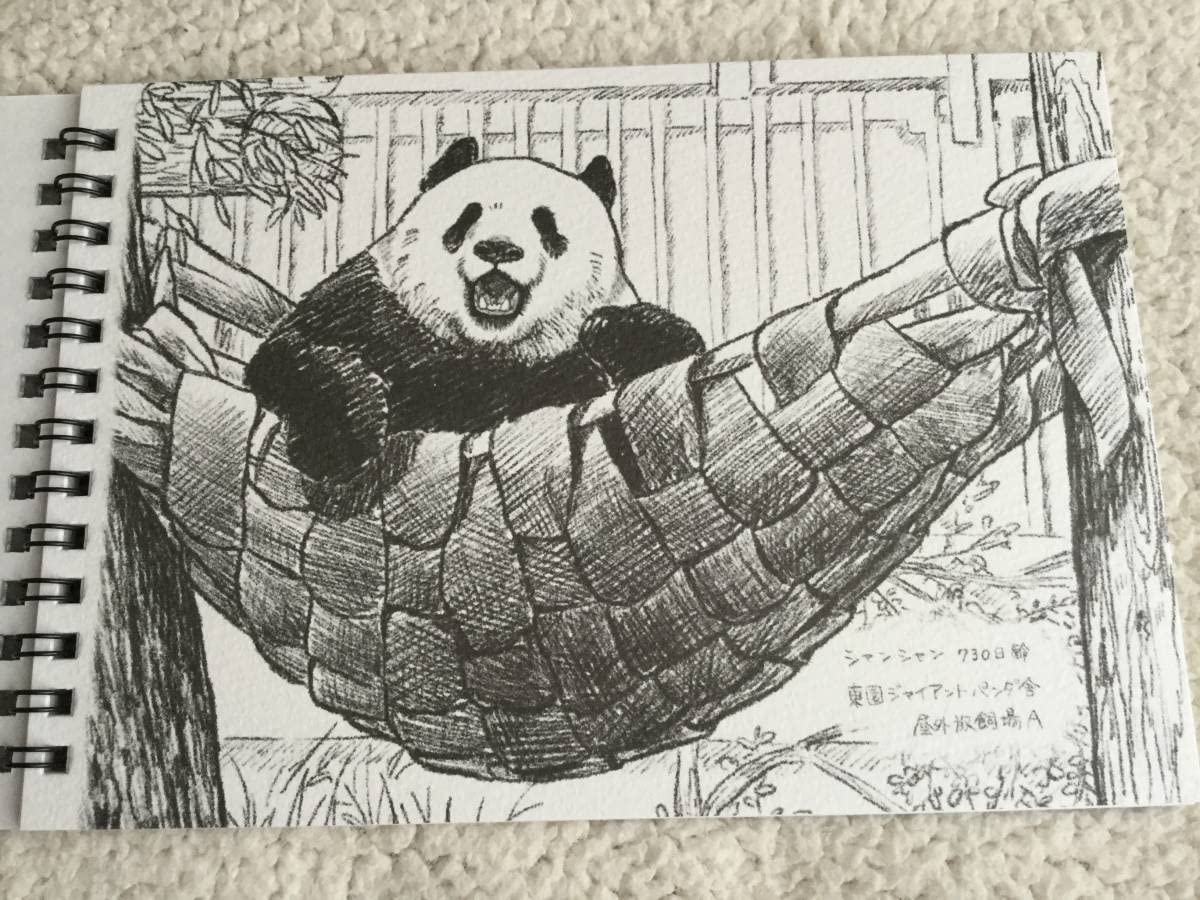 Amazon.co.jp: シャンシャン 3歳記念 スケッチブック（上野動物園