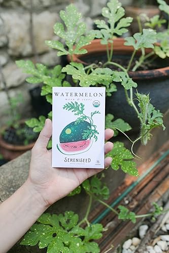 Miniatura 7 de Sereniseed Colección de semillas de verduras orgánicas certificadas (paquete de 20)  100% sin OMG, variedades polinizadas abiertas