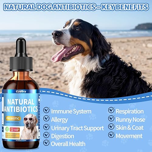 Miniatura 4 de Apoyo digestivo e intestinal para gatos y perros - Probióticos masticables suaves para gatos + suplemento de antibióticos de hierbas para perros,