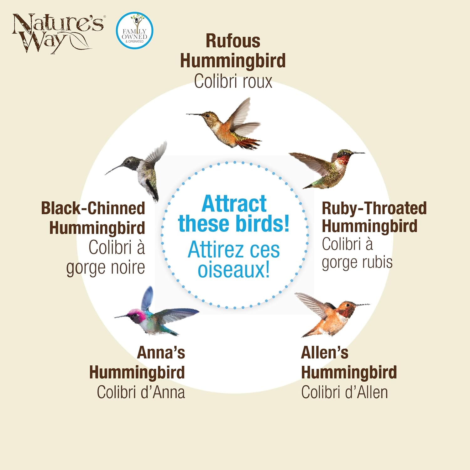 Nature's Way Bird Products AGF1 Artisan Gravity Blush Crackle Hummingbird Feeder