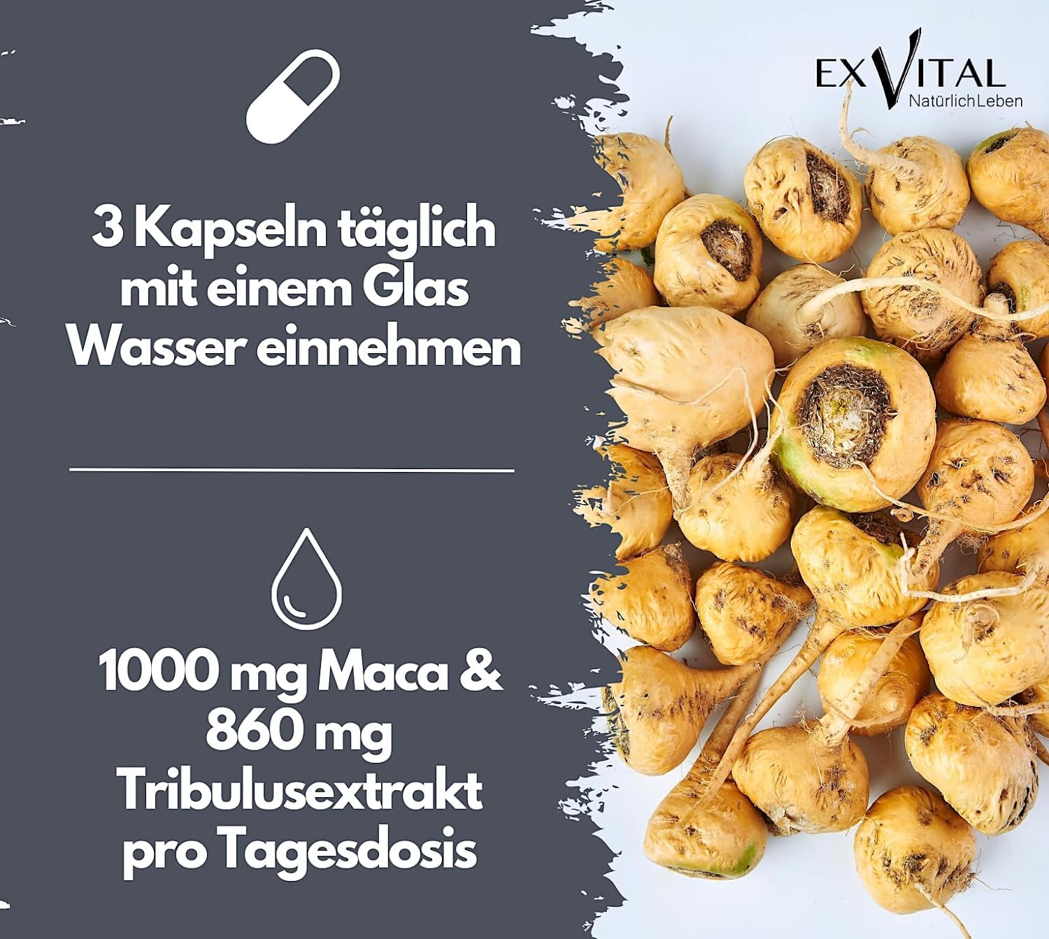 Maca 1000 plus Tribulus, Maca und Tribulus ideal kombiniert in einem Produkt, 90 Kapseln in Premiumqualität, Hochdosiert, 1er Pack (1x 74g)