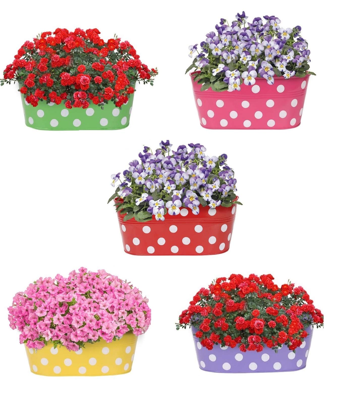 RVOLD Rust Free Dotted Oval Railing Planter for Balcony and Garden Flower Planting Set Pack of 5