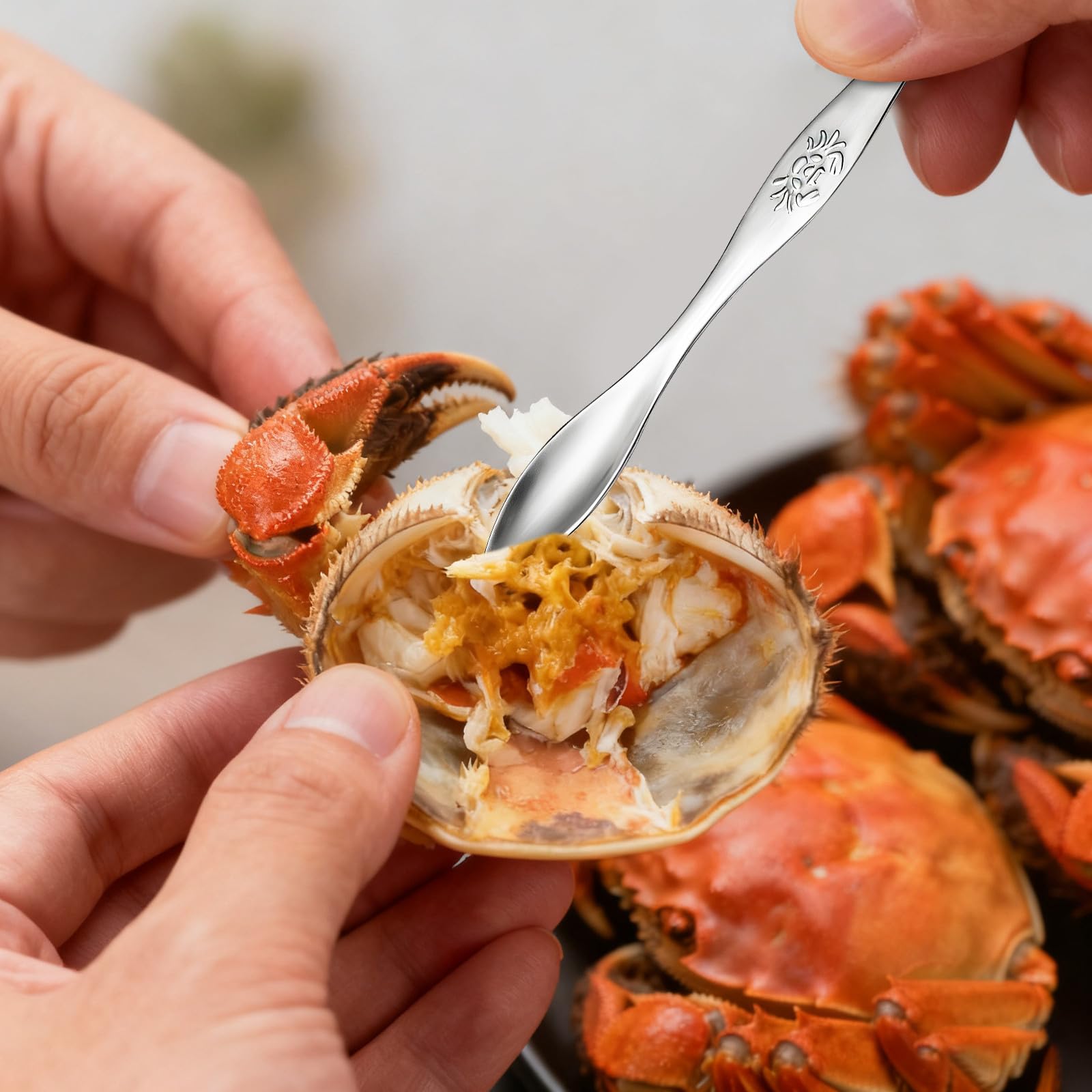 Veemoon Herramientas para Comer Mariscos de 6 Piezas en Acero Inoxidable