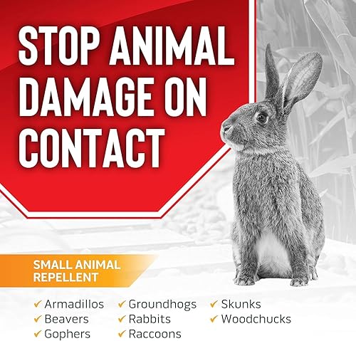 Miniatura 2 de Messina - Repelente granular de tapón de animales, seguro y eficaz, ingredientes naturales de grado alimenticio repele marmotas, conejos, zorrillos,