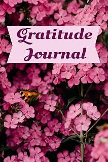 A Journal: gratitude daily journal