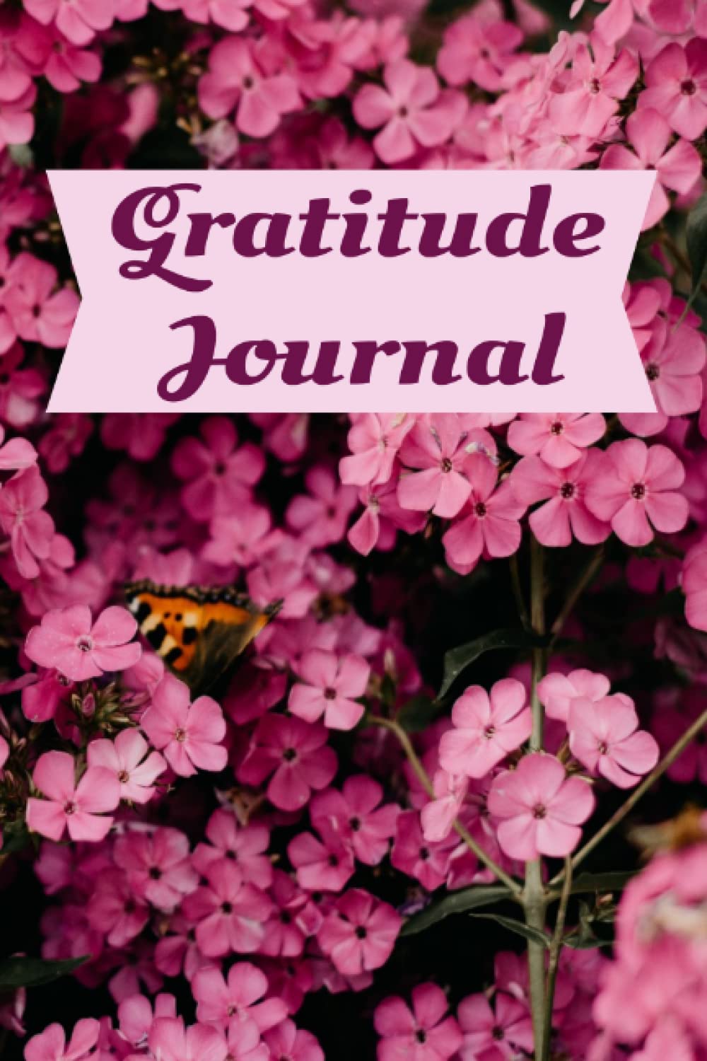 A Journal: gratitude daily journal