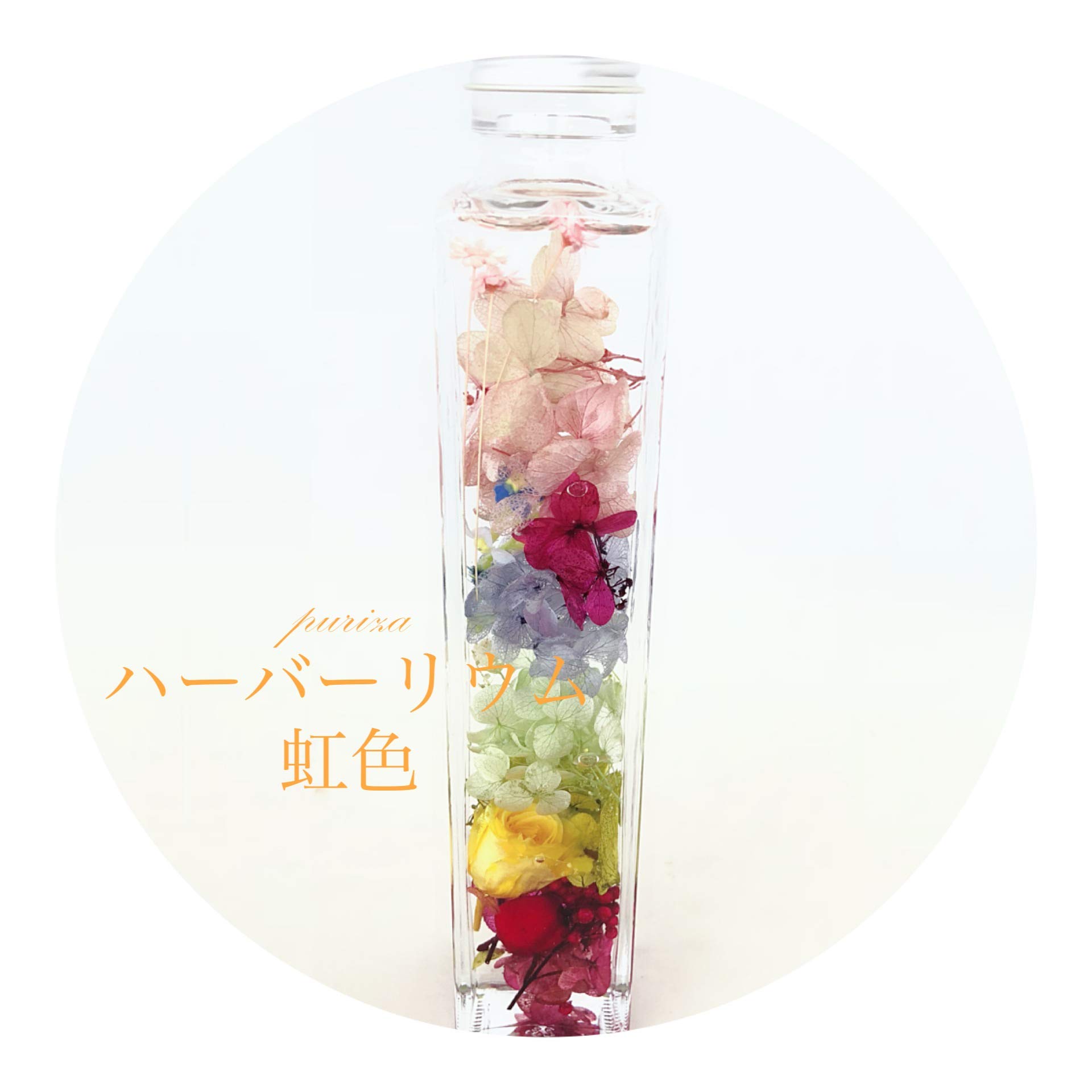 Amazon | PURIZA ハーバリウム ドライフラワー プリザーブドフラワー