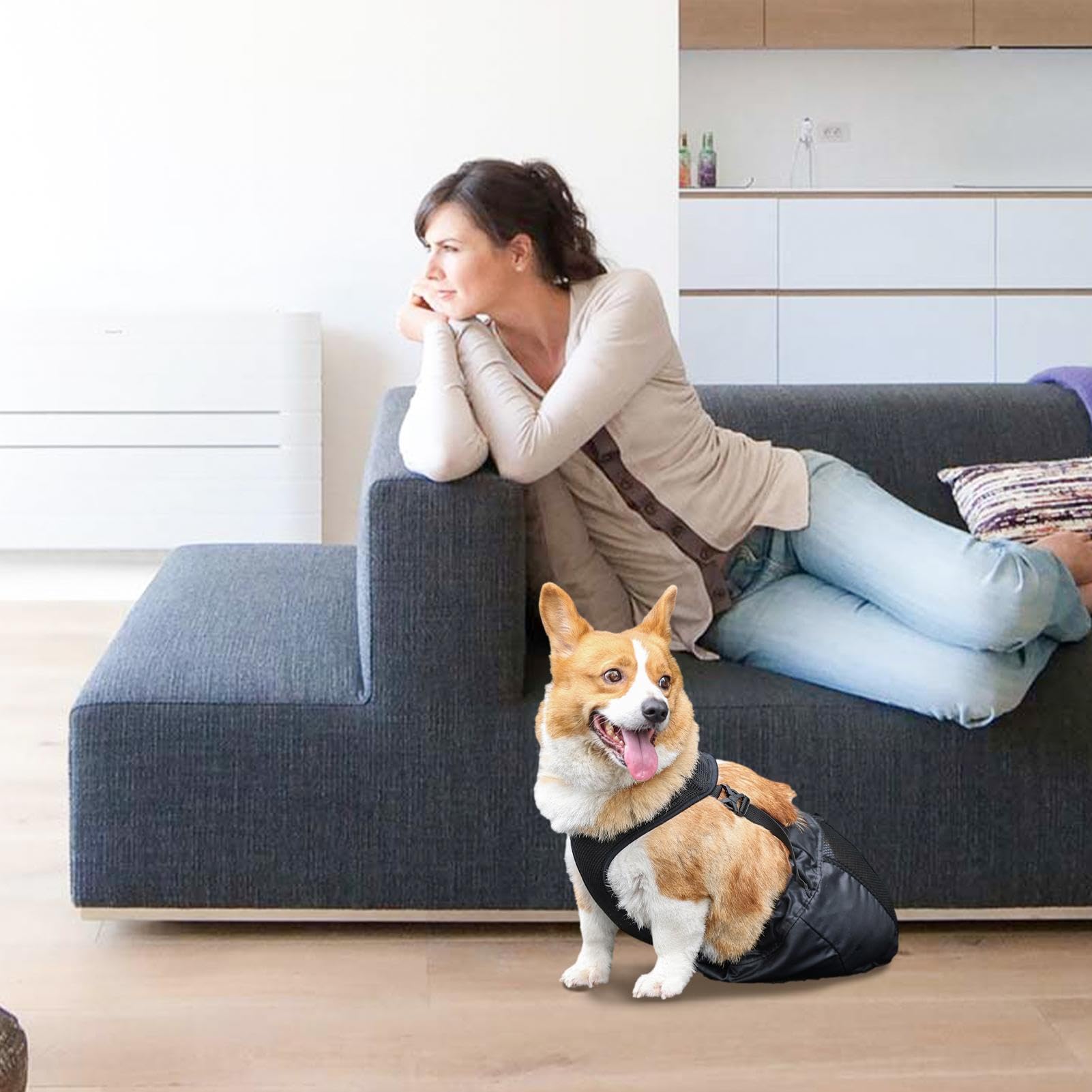 Borsa per Cani, Borsa per Recupero Alternativo della Sedia a rotelle, per Gambe Posteriori e Posteriori, Traspirante, Regolabile, Protettiva, per Proprietari di Animali Domestici, Cani feriti