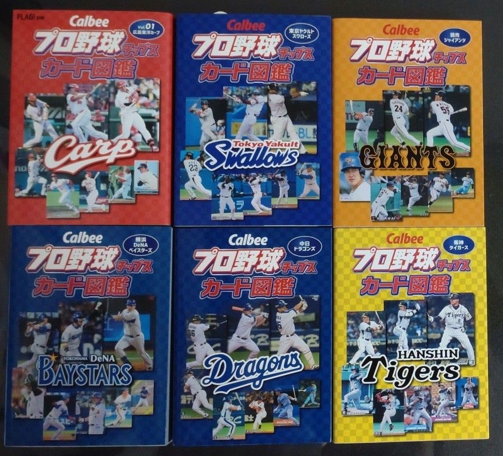 セ・リーグカルビープロ野球チップスカード図鑑 6冊セット プロ野球