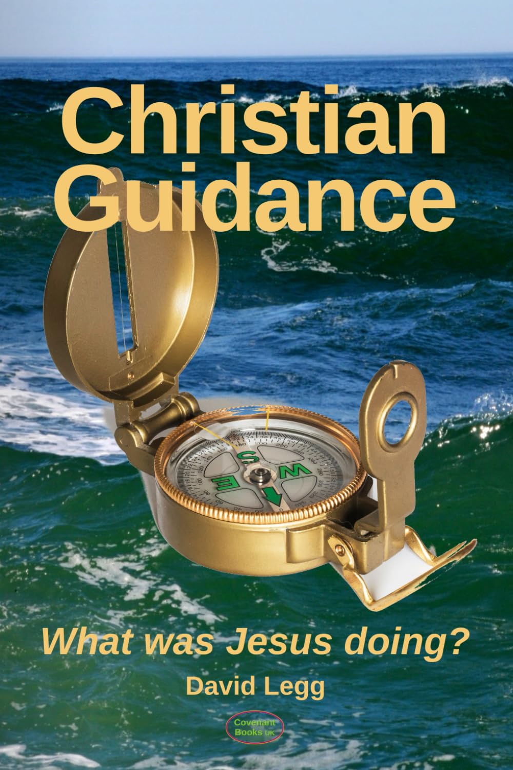 Christian Guidance: What was Jesus doing?: 14 (Biblical Studies)