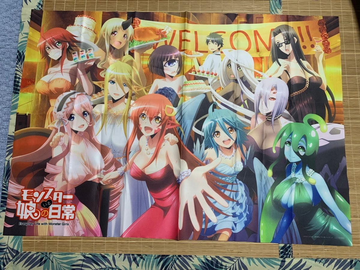 Amazon.co.jp: モンスター娘のいる日常 ポスター B2布ポスター 集合 