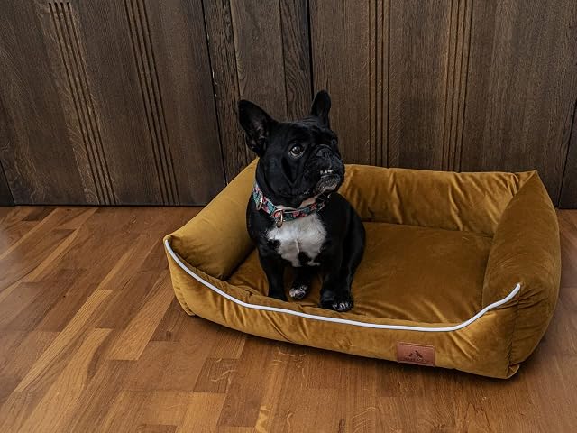 Foto 2 de 3 de FUUFEE Lux Cama para Perros