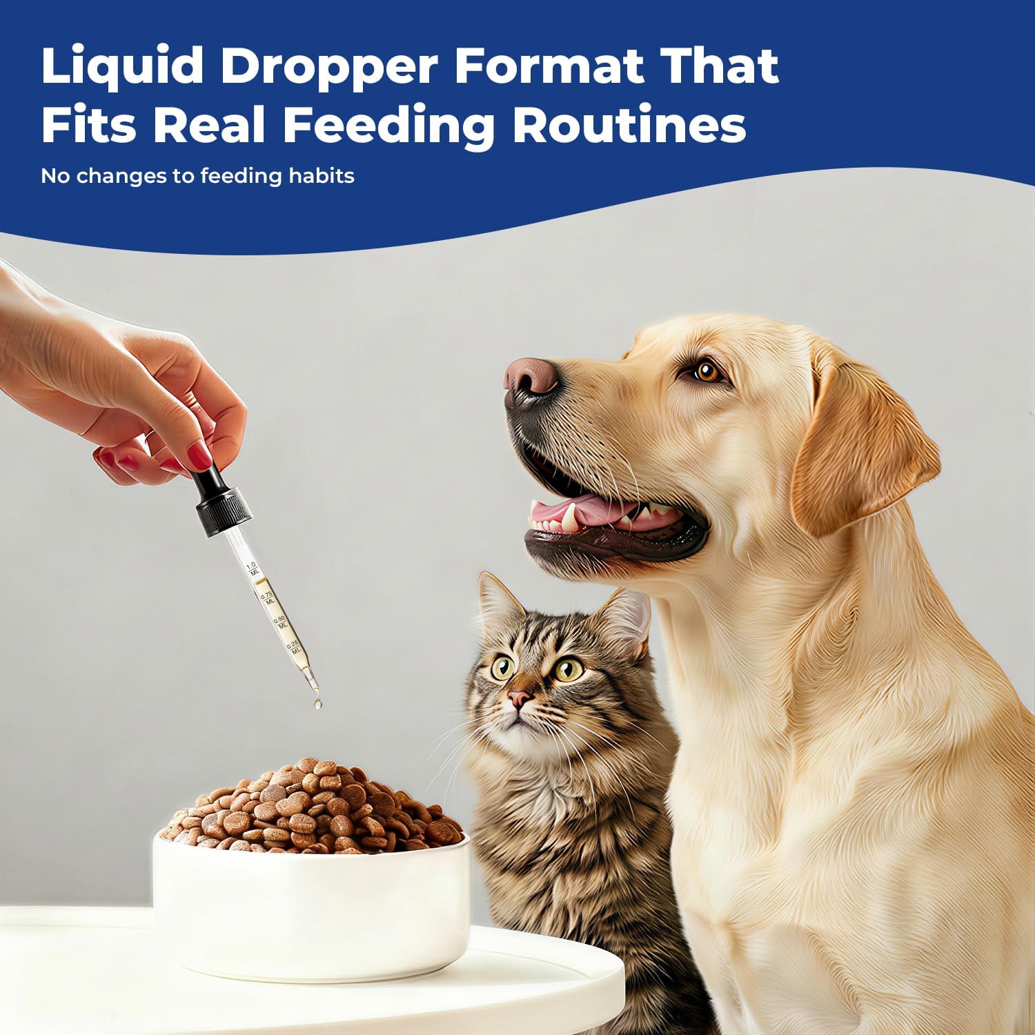 Taurine Supplement for Dogs & Cats Liquid Drops, Amino Acid Support for Heart, Muscle & Daily Vitality, Canine & Feline Nutrition Supplement, 60 mL